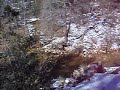 East Valley Singles Hanging Out Beside a Roaring River