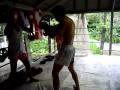 edwin phuket muay thai