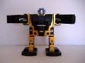 Robotpenguin in azione