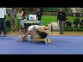 ALEX(GOUGOULAS TEAM)IN SHOOTO GRAPPLING ATHENS -83 BEGINERS