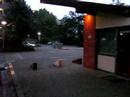 pateman op zen bromert