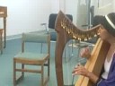 Palm Beach Folk Club Marg on Harp