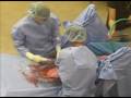 colic surgery @ Chino Hills Equine Hospital Aug 1 /07The LAPD horse's name is Duke.I'm so sorry to say Duke was put down on Aug 17/07.Duke had a great career as a police horse and will beremembered as a centurion who protected the streets of Los Angeles.