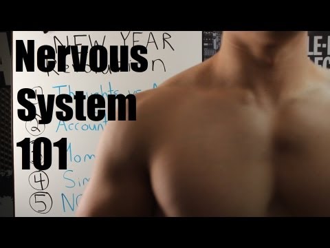 how to improve nervous system