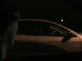 Ek B16a turbo vs Neon SRT4