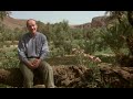 Seven Wonders Of The Ancient World-GARDENS OF BABYLON PART 2