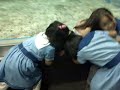 MANILA OCEAN PARK kids  SCANDAL.