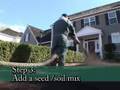 Grimm's Lawn Seeding