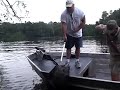 Amazon underwater and stingray clip Amazon underwater and stingray clip