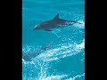 Puerto rico