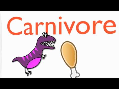 consumers - Learn the ecology of our planet. The sun is the main source of energy and plants capture that energy. Organism called consumers eat others for energy. The th...