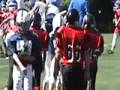 Westerly Pee Wee Football
