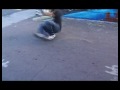 Breakin pt 1