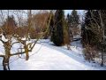 Lehrgarten des OGV Sprendlingen im Winter