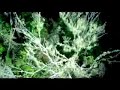 Groove Armada - Inside my mind Groove Armada - Inside my mind