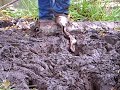 New wellies jumping mud 4