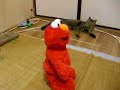 くすぐりエルモXと猫