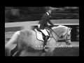 Classical Equines - My Name Is Lincoln Classical Equines - My Name Is Lincoln