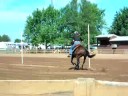 Brandy Poles
