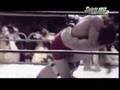 Korea's most exciting mixed martial arts league - Spirit MC
