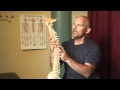 The Physical Therapist