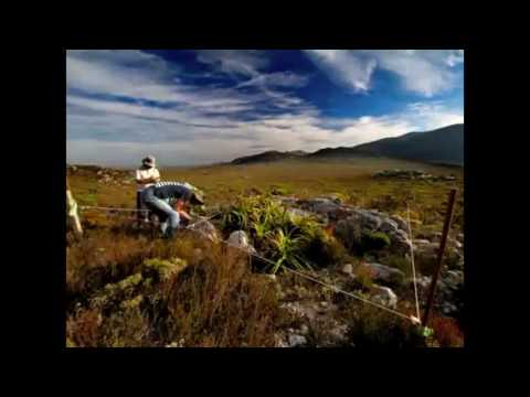 Climate change impacts in Fynbos at the Cape of Good Hope Section of Table Mountain National Park