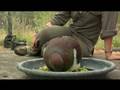videos de Meet the Locals - Kereru Hospital (Ep 103)
