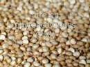 Phyto Bio Atibaia Phyto Bio Atibaia