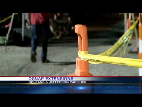 how to apply for dsnap