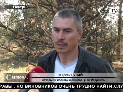 Пожарные бьют тревогу