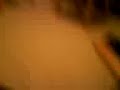 Beans Dancing