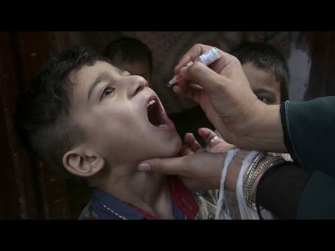 USA/Großbritannien: Polio-Virus (Kinderlähmung) in Ne ...