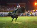 LOS TAURINOS TOROS PROTAGONISTAS FINAL 07 P6