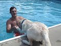 Jack the Labrador Summer 07
