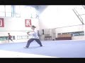 Wushu Trailer of the Shanghai university-team
