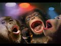 JINBARA - Farhana (Funny Footage) JINBARA - Farhana (Funny Footage)