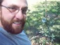 planting tree challenge-part 1 planting tree challenge-part 1