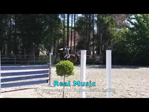 Real Music - under the saddle