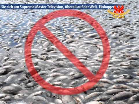 how to treat oyster poisoning