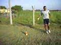 Djair Garcia in Training of Agility With Defender