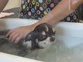毎月恒例の オゾンスパですよ〜