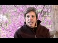 Senior Research Requirement with Dr. Lou Webber