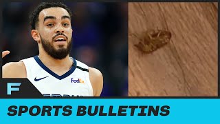 Memphis Grizzlies Tyus Jones Shares GROSS Photo Of DEAD Cockroach Inside His Orlando Hotel Room by Obsev Sports