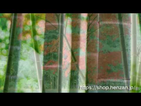 動画