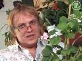 Герань при гастрите. Народная медицина