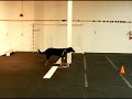 Djerry_15m_Plat.mp4