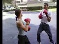 Boxing - jose vs logan