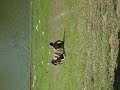 O Escorrega