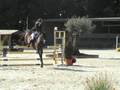 videos de Buitenstee's Queeny & Aniek Schuurman @ NewForestDag 2008 ZD