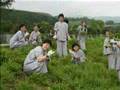 佛光山東禪寺簡介